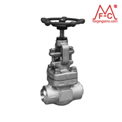 M0091 Forged Globe Ball/Gate/Check Valve Flange Pipe Fittings