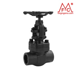 M0112 Forged Gate Valve Flange Pipe Fittings Globe/Check Valve