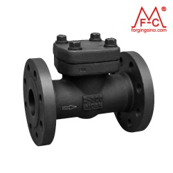M0492 Forged Check Valve Flange Pipe Fittings Gate/Ball Globe Valve Machining